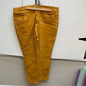 Universal Thread Amber Trousers